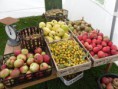 /album/fotogalerij/fruitweekend-2010-005-jpg/